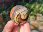 Polished Polychrome Jasper Spheres x 12 From Androka, Madagascar - Toprock Gemstones and Minerals 