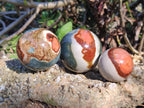 Polished Polychrome Jasper Spheres x 12 From Androka, Madagascar - Toprock Gemstones and Minerals 