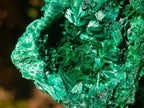 Natural Large Silky Malachite Specimen x 1 From Kasompe, Congo - Toprock Gemstones and Minerals 