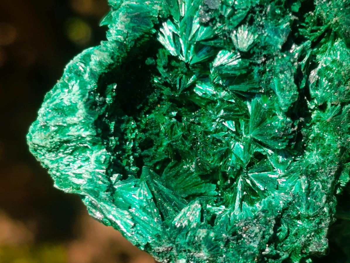 Natural Large Silky Malachite Specimen x 1 From Kasompe, Congo - Toprock Gemstones and Minerals 