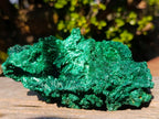 Natural Large Silky Malachite Specimen x 1 From Kasompe, Congo - Toprock Gemstones and Minerals 