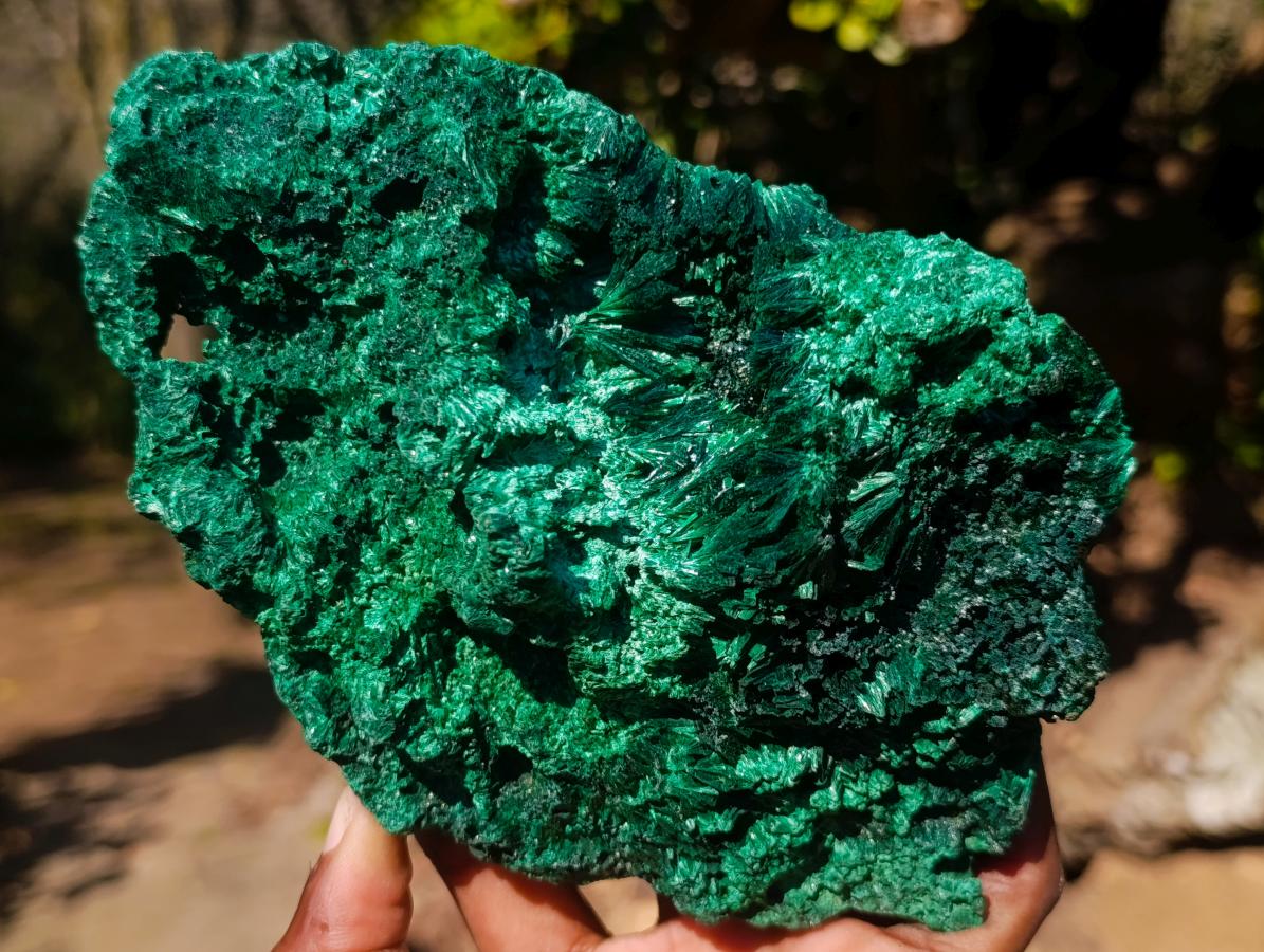 Natural Large Silky Malachite Specimen x 1 From Kasompe, Congo - Toprock Gemstones and Minerals 