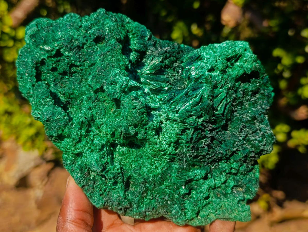 Natural Large Silky Malachite Specimen x 1 From Kasompe, Congo - Toprock Gemstones and Minerals 