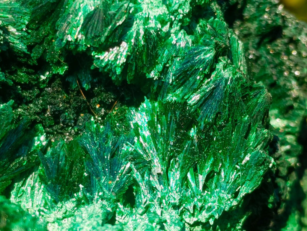 Natural Large Silky Malachite Specimen x 1 From Kasompe, Congo - Toprock Gemstones and Minerals 