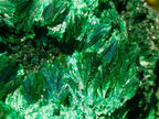 Natural Large Silky Malachite Specimen x 1 From Kasompe, Congo - Toprock Gemstones and Minerals 