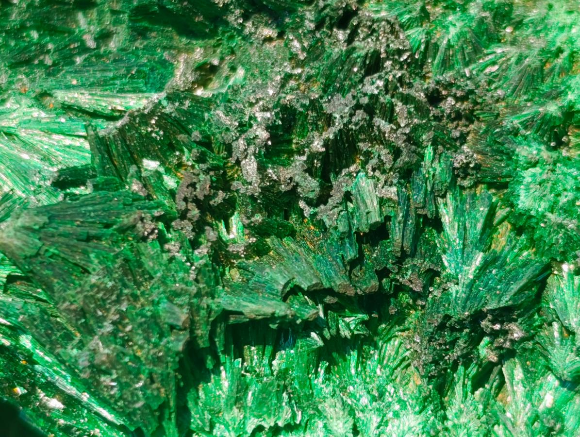 Natural Large Silky Malachite Specimen x 1 From Kasompe, Congo - Toprock Gemstones and Minerals 