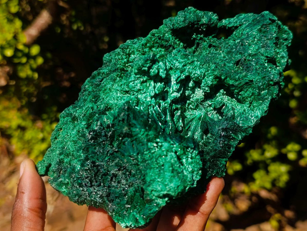 Natural Large Silky Malachite Specimen x 1 From Kasompe, Congo - Toprock Gemstones and Minerals 