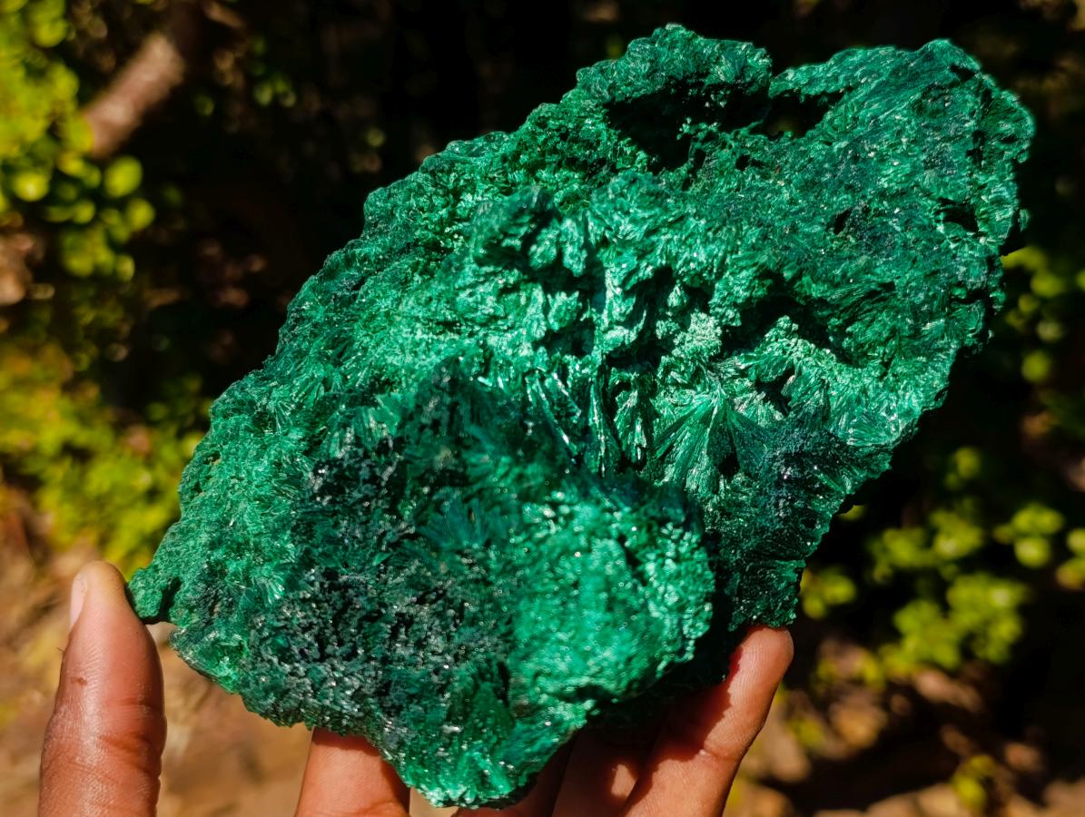 Natural Large Silky Malachite Specimen x 1 From Kasompe, Congo - Toprock Gemstones and Minerals 