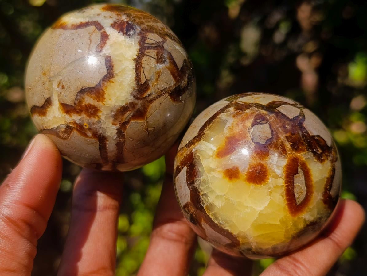 Polished Septerye Spheres x 6 From Mahajanga, Madagascar - Toprock Gemstones and Minerals 