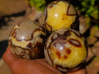 Polished Septerye Spheres x 6 From Mahajanga, Madagascar - Toprock Gemstones and Minerals 