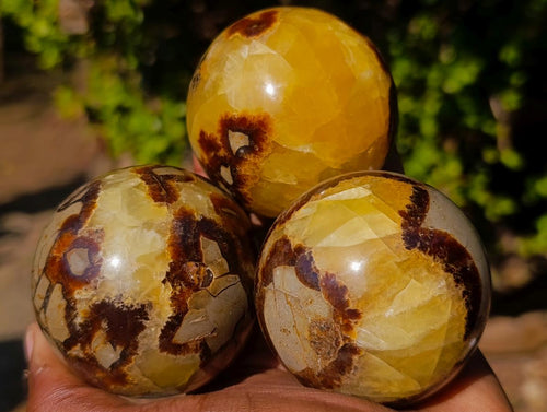 Polished Septerye Spheres x 6 From Mahajanga, Madagascar - Toprock Gemstones and Minerals 