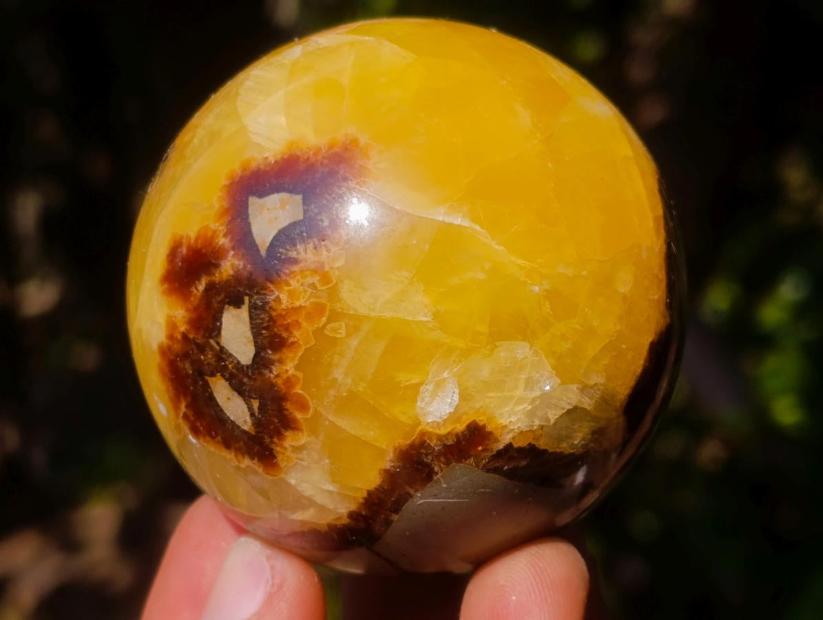 Polished Septerye Spheres x 6 From Mahajanga, Madagascar - Toprock Gemstones and Minerals 