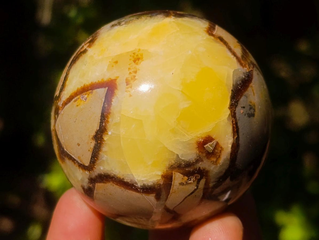 Polished Septerye Spheres x 6 From Mahajanga, Madagascar - Toprock Gemstones and Minerals 