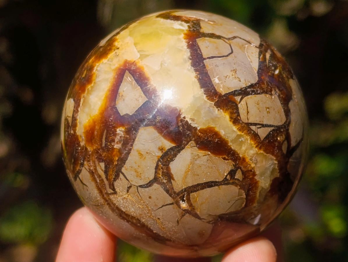 Polished Septerye Spheres x 6 From Mahajanga, Madagascar - Toprock Gemstones and Minerals 