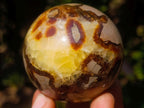 Polished Septerye Spheres x 6 From Mahajanga, Madagascar - Toprock Gemstones and Minerals 