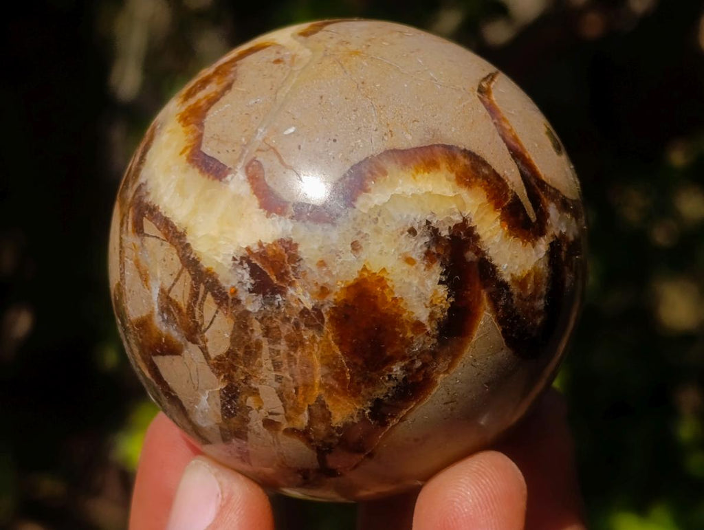 Polished Septerye Spheres x 6 From Mahajanga, Madagascar - Toprock Gemstones and Minerals 