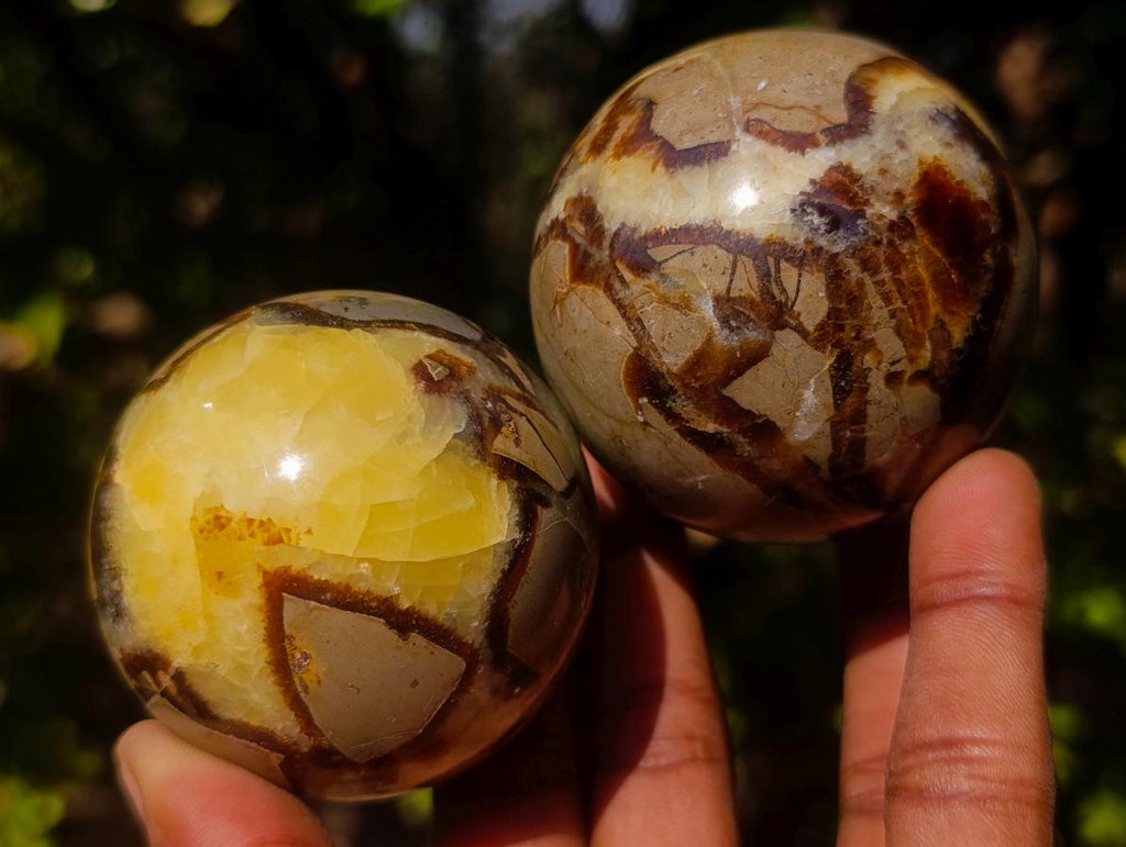 Polished Septerye Spheres x 6 From Mahajanga, Madagascar - Toprock Gemstones and Minerals 