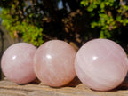 Polished Gemmy Star Rose Quartz Spheres x 5 From Madagascar - Toprock Gemstones and Minerals 