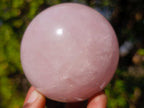 Polished Gemmy Star Rose Quartz Spheres x 5 From Madagascar - Toprock Gemstones and Minerals 