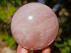 Polished Gemmy Star Rose Quartz Spheres x 5 From Madagascar - Toprock Gemstones and Minerals 