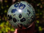 Polished Stromatolite "Kambamba Jasper" Mushrooms x 4 From Katsepy, Madagascar - Toprock Gemstones and Minerals 