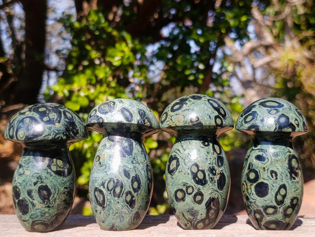Polished Stromatolite "Kambamba Jasper" Mushrooms x 4 From Katsepy, Madagascar - Toprock Gemstones and Minerals 
