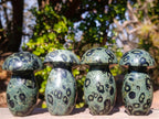 Polished Stromatolite "Kambamba Jasper" Mushrooms x 4 From Katsepy, Madagascar - Toprock Gemstones and Minerals 