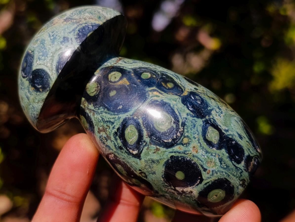 Polished Stromatolite "Kambamba Jasper" Mushrooms x 4 From Katsepy, Madagascar - Toprock Gemstones and Minerals 