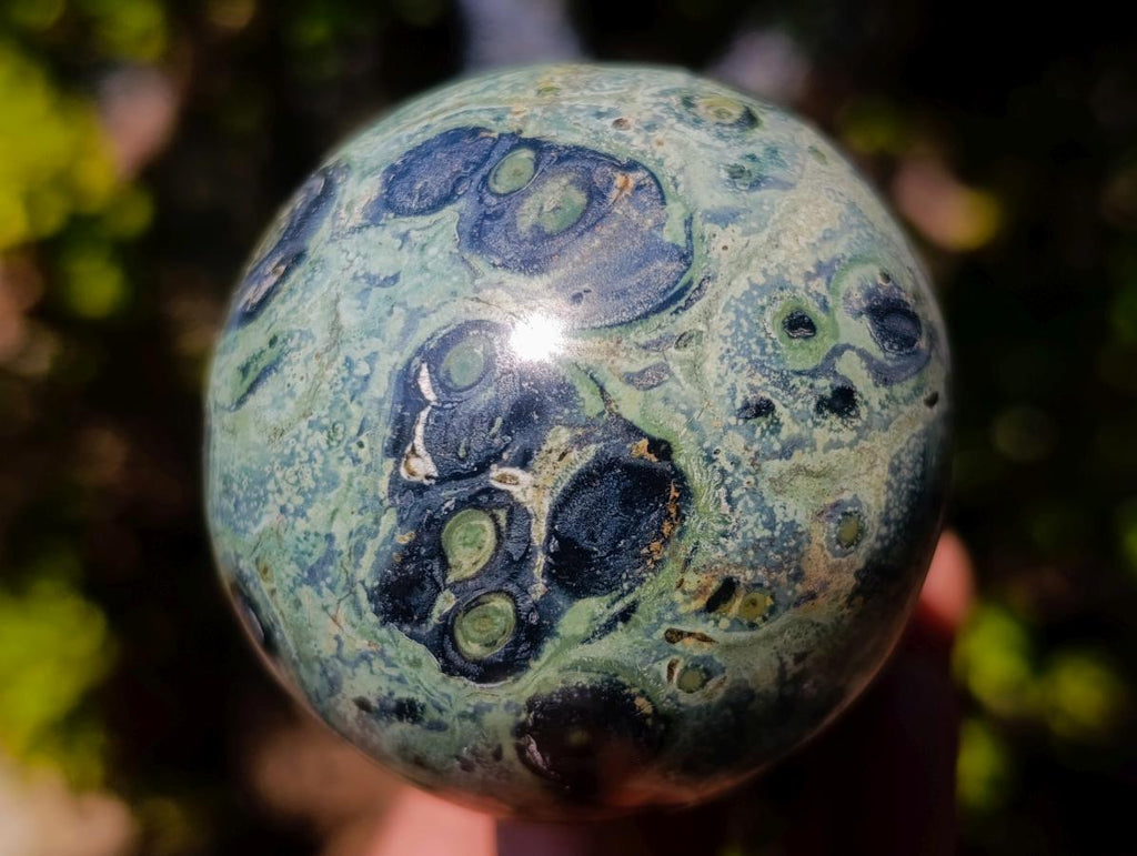 Polished Stromatolite "Kambamba Jasper" Mushrooms x 4 From Katsepy, Madagascar - Toprock Gemstones and Minerals 