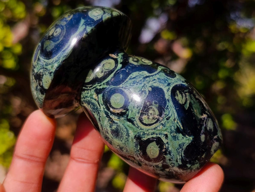 Polished Stromatolite "Kambamba Jasper" Mushrooms x 4 From Katsepy, Madagascar - Toprock Gemstones and Minerals 
