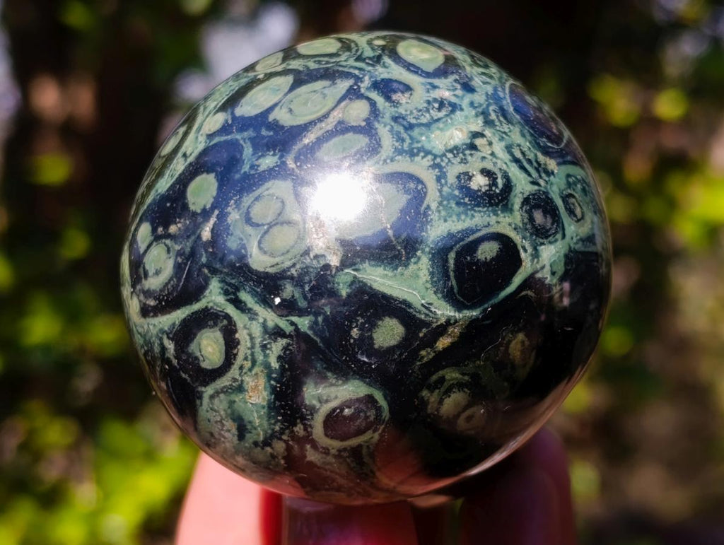 Polished Stromatolite "Kambamba Jasper" Mushrooms x 4 From Katsepy, Madagascar - Toprock Gemstones and Minerals 