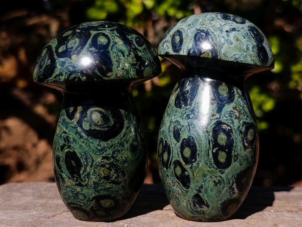 Polished Stromatolite "Kambamba Jasper" Mushrooms x 4 From Katsepy, Madagascar - Toprock Gemstones and Minerals 