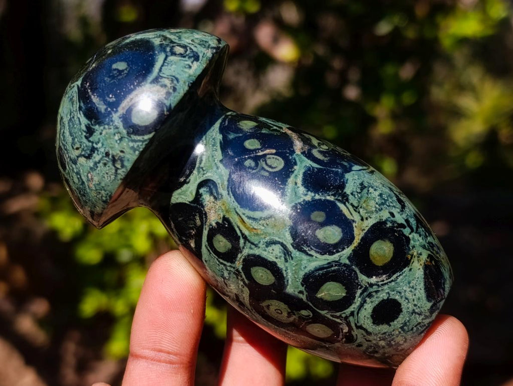 Polished Stromatolite "Kambamba Jasper" Mushrooms x 4 From Katsepy, Madagascar - Toprock Gemstones and Minerals 