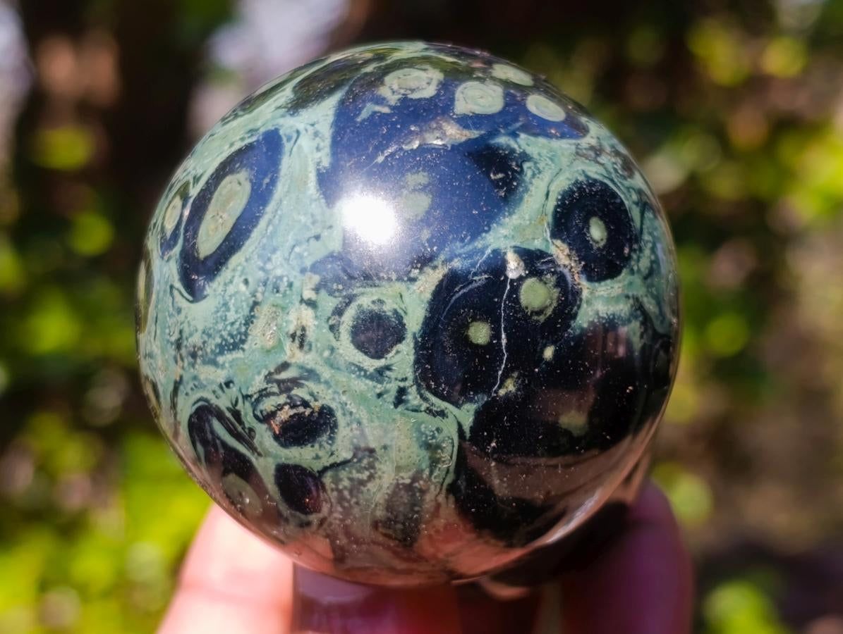 Polished Stromatolite "Kambamba Jasper" Mushrooms x 4 From Katsepy, Madagascar - Toprock Gemstones and Minerals 