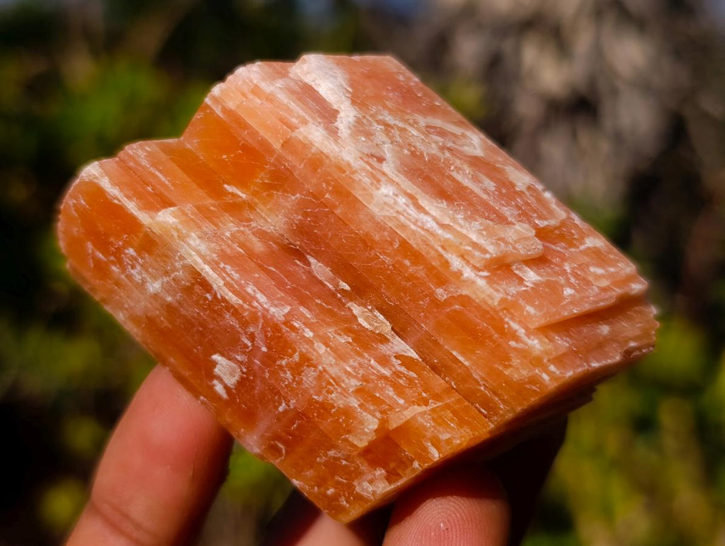 Natural Rhombohedral Sunset Orange Calcite Specimens x 24 From Spitzkop, Namibia - Toprock Gemstones and Minerals 