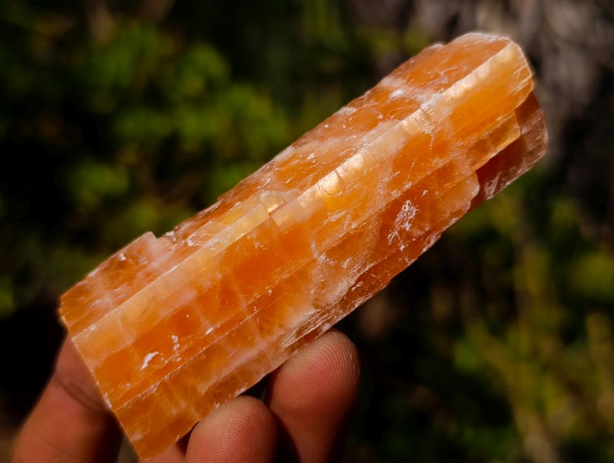 Natural Rhombohedral Sunset Orange Calcite Specimens x 24 From Spitzkop, Namibia - Toprock Gemstones and Minerals 