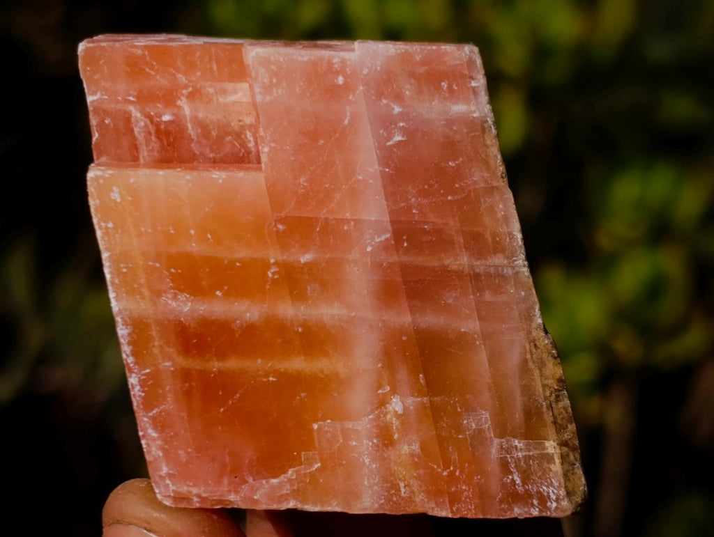 Natural Rhombohedral Sunset Orange Calcite Specimens x 24 From Spitzkop, Namibia - Toprock Gemstones and Minerals 