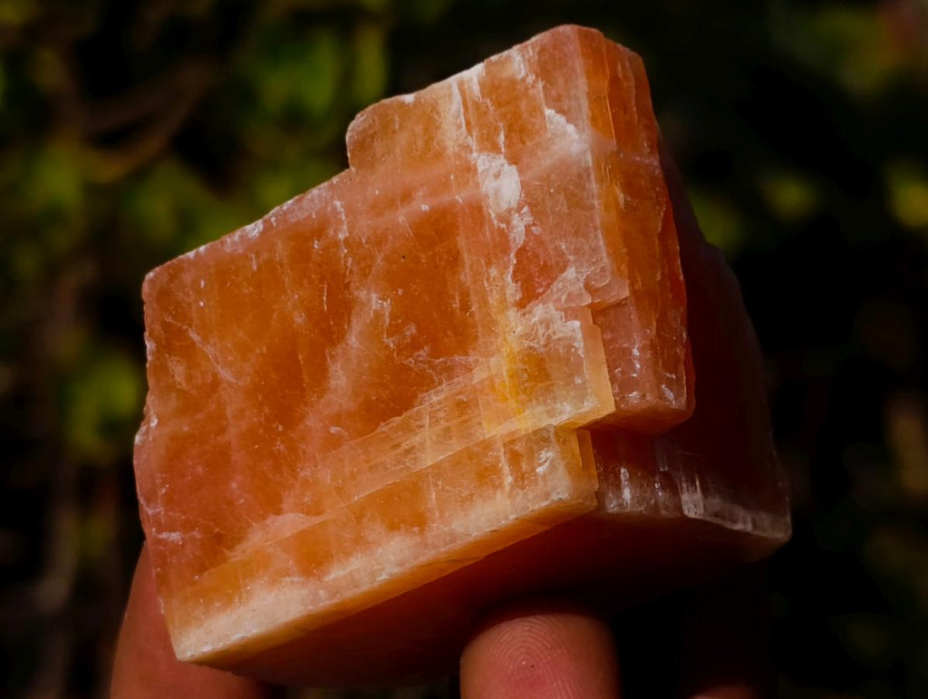 Natural Rhombohedral Sunset Orange Calcite Specimens x 24 From Spitzkop, Namibia - Toprock Gemstones and Minerals 