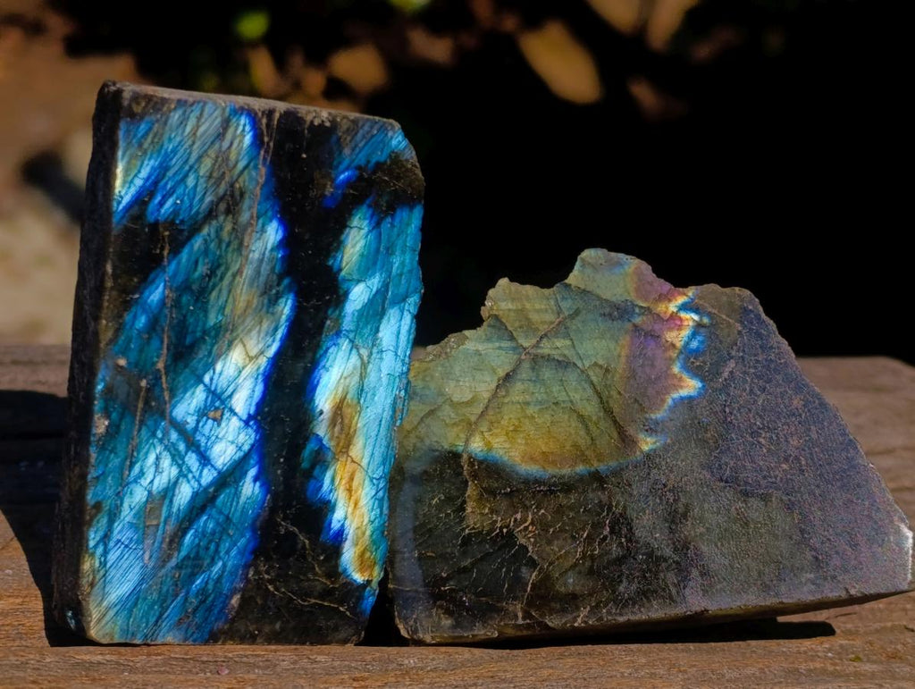 Polished One Side Labradorite Slices x 24 From Madagascar - Toprock Gemstones and Minerals 