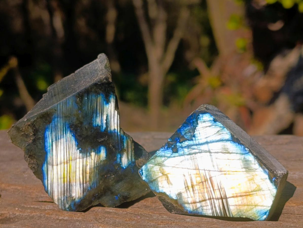 Polished One Side Labradorite Slices x 24 From Madagascar - Toprock Gemstones and Minerals 
