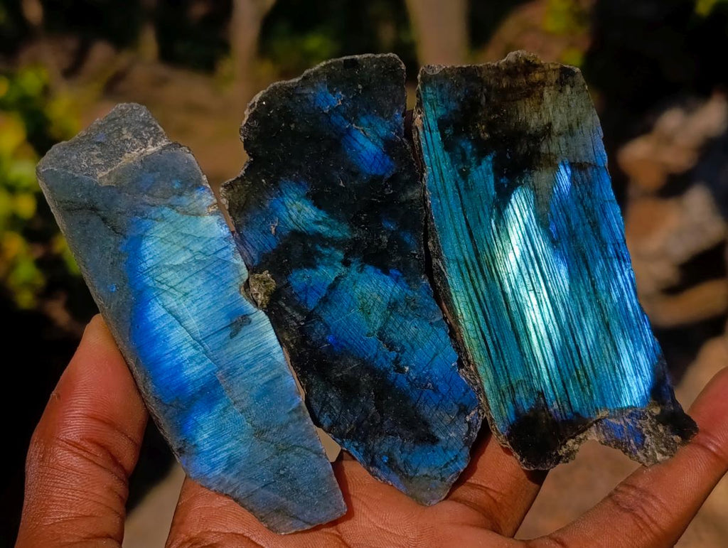 Polished One Side Labradorite Slices x 24 From Madagascar - Toprock Gemstones and Minerals 