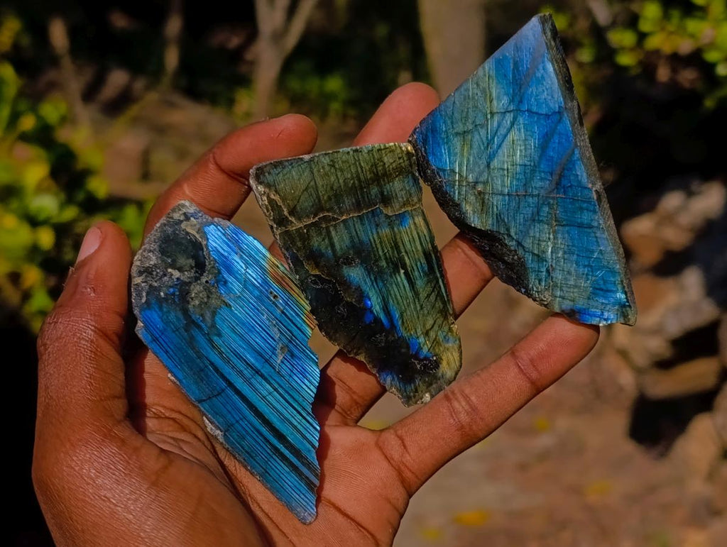 Polished One Side Labradorite Slices x 24 From Madagascar - Toprock Gemstones and Minerals 