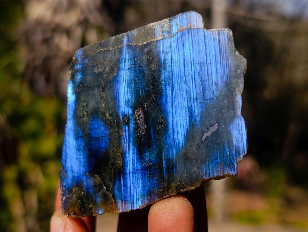 Polished One Side Labradorite Slices x 24 From Madagascar - Toprock Gemstones and Minerals 