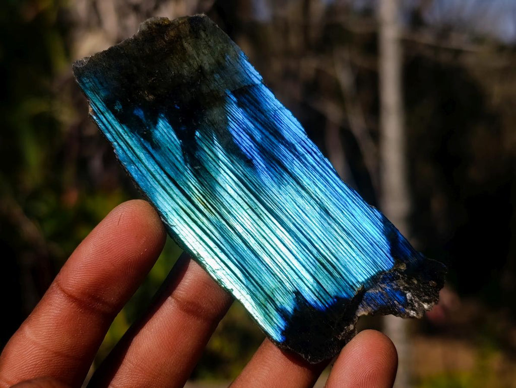 Polished One Side Labradorite Slices x 24 From Madagascar - Toprock Gemstones and Minerals 