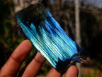 Polished One Side Labradorite Slices x 24 From Madagascar - Toprock Gemstones and Minerals 
