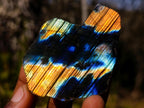 Polished One Side Labradorite Slices x 24 From Madagascar - Toprock Gemstones and Minerals 