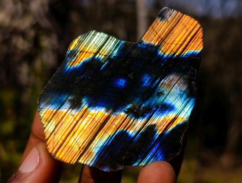 Polished One Side Labradorite Slices x 24 From Madagascar - Toprock Gemstones and Minerals 