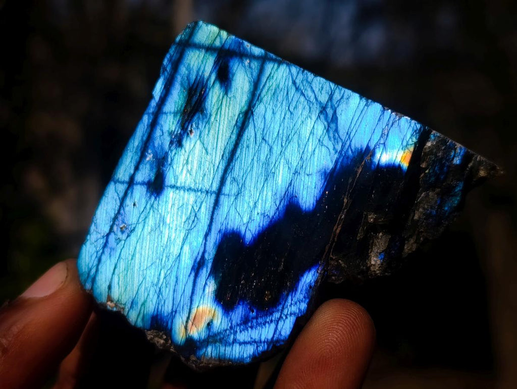 Polished One Side Labradorite Slices x 24 From Madagascar - Toprock Gemstones and Minerals 