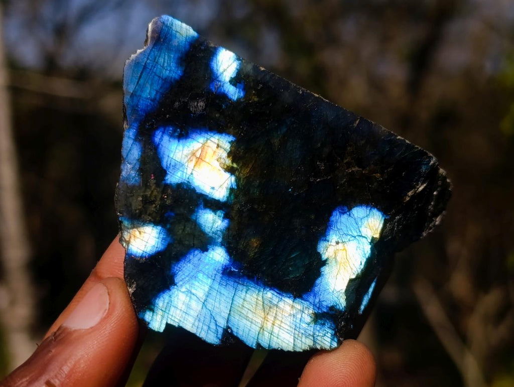 Polished One Side Labradorite Slices x 24 From Madagascar - Toprock Gemstones and Minerals 