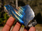 Polished One Side Labradorite Slices x 24 From Madagascar - Toprock Gemstones and Minerals 